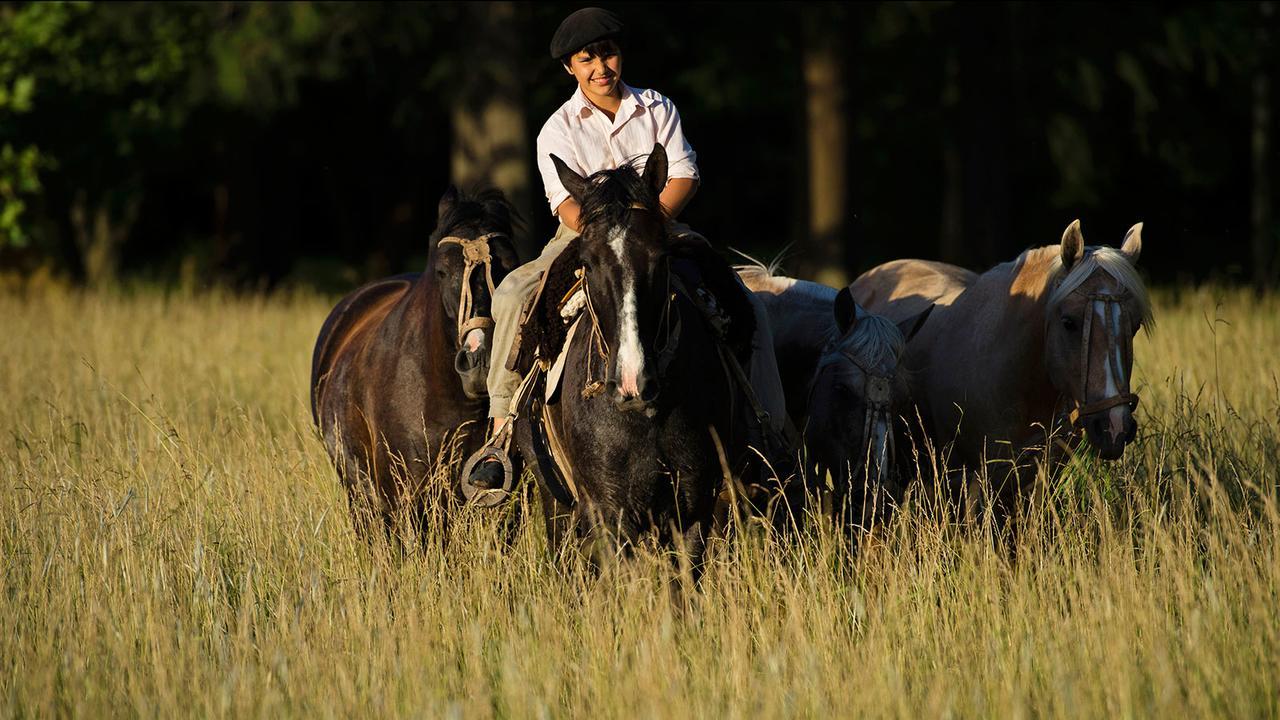 Estancia La Bandada ซานมิเกลเดลมอนเต ภายนอก รูปภาพ